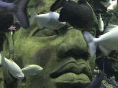 -成都浩海立方海洋公园