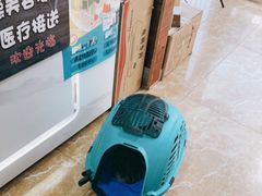 -A猫a狗全科·犬猫异宠·芥西宠物医院(南开总院)