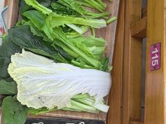 -鸿盛火锅(重庆路店)