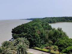 -大湾区中央湿地公园