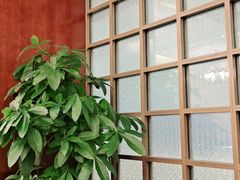 -梦都海鲜酒家(万达广场江桥店)