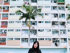 -彩虹村