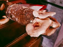 -谭鸭血老火锅(漳州路店)