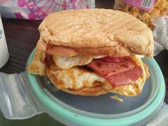 -合肥滨湖国家森林公园