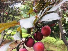 -大连市第二十四中学