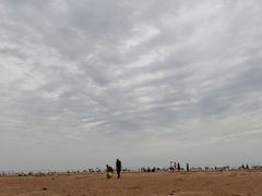 -日照海滨国家森林公园