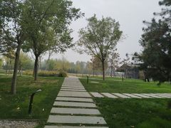 -汉长安城未央宫国家考古遗址公园