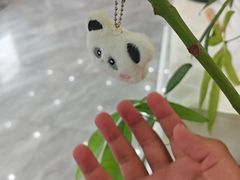 -德元·美联众合24小时动物医院(总院)