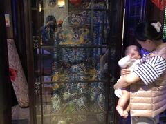 -赵记老铺(市府恒隆广场店)