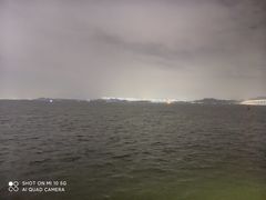 -陶陶居酒家(海岸城店)