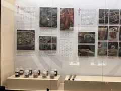 -金成潮菜博物馆(海珠湿地店)