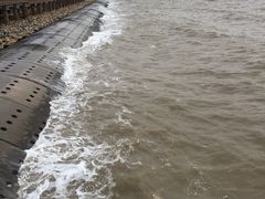 -东疆建设开发纪念公园