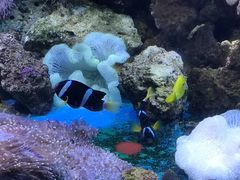 -沈阳海洋探索中心