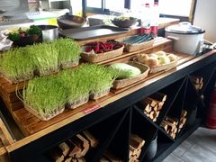 豆苗-盡膳口福·百年汤方火锅(科华北路店)