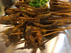 鳝鱼-晓靖轩烧烤(沙河风情店)