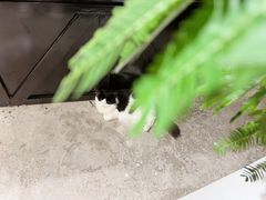 -自由生长植物工作室(深港花卉中心店)
