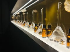 -安屿an·spa(卓悦中心商场店)