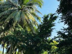 -海南清水湾莱佛士酒店