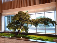 -上海佘山世茂艾美酒店