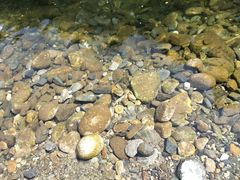 -黑河国家森林公园