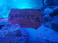 -沈阳海洋探索中心