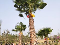 -枫香湖儿童公园