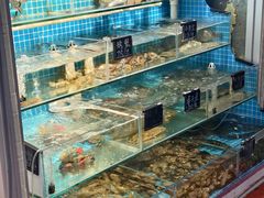 -北戴河庆山饭店·海鲜砂锅粥(北戴河黑石路店)