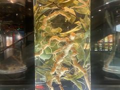 -广东中医药博物馆