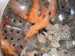 -海大大蒸汽海鲜餐厅·粤菜·特色小炒(欢乐颂店)