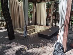 -林栖谷森林康养度假区
