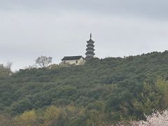 -苏州上方山国家森林公园