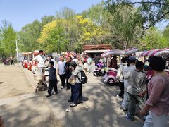 -长白岛森林公园