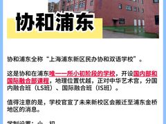 -菠萝国际教育专注Alevel·IGCSE·IB·AP·托福雅思培训辅导(静安校区)