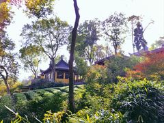 -杭州西湖风景名胜区-三生石