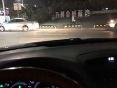 -万科·金域蓝湾