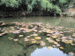 景点-穹窿山景区