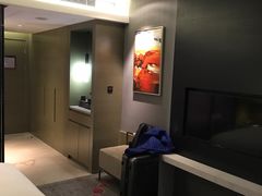 -南京禄口机场雅高铂尔曼大酒店