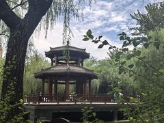 -西安市长乐公园