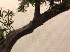 -点心传说·粤菜点心(佐阾虹湾店)