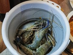 -渔纬港海鲜自助餐厅(湖里万达店)