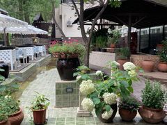 -Local泰莲庭(虹鳟鱼店)