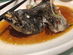 清蒸龙胆鱼-王庄阿咪海鲜大排档(象园店)