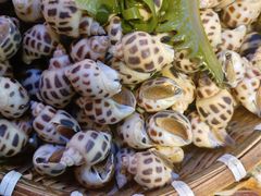 -三个渔夫·蒸汽海鲜(小白楼店)