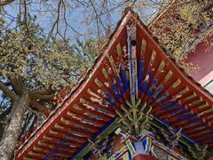 -终南山南五台景区