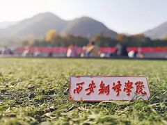 -小杨烤肉(高新店)