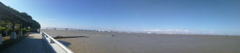 -大湾区中央湿地公园