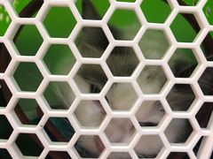 -艾贝尔宠物诊疗