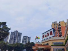 -龙的酒楼·手工早茶·顺德菜(近良路店)