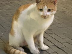 -一枚西点(运河路店)