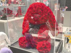 -ROSEONLY诺誓(国际广场购物中心店)